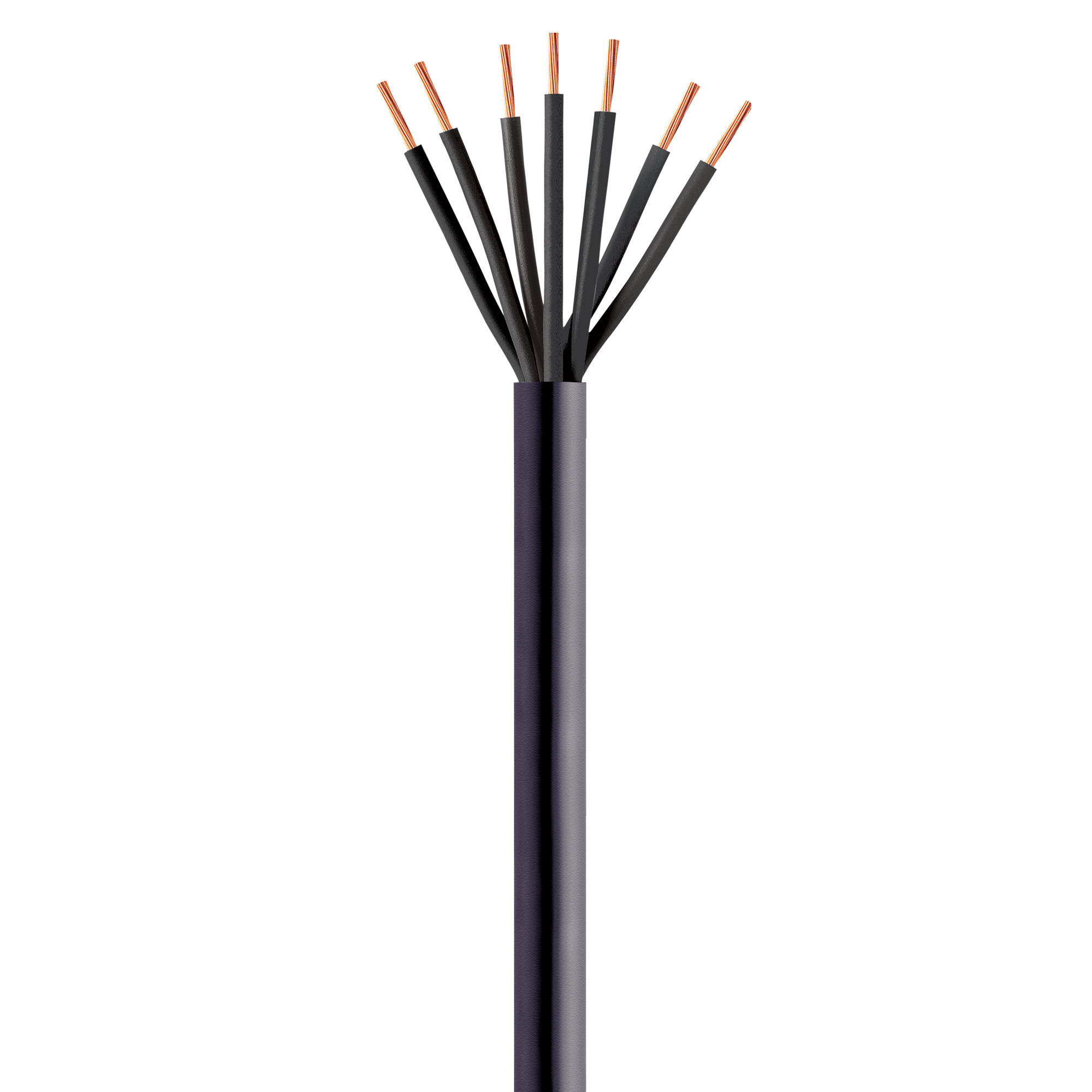 Copper Polyvinyl Insulated and Sheathed Single Cable 0,6/1kV – Maxvinil